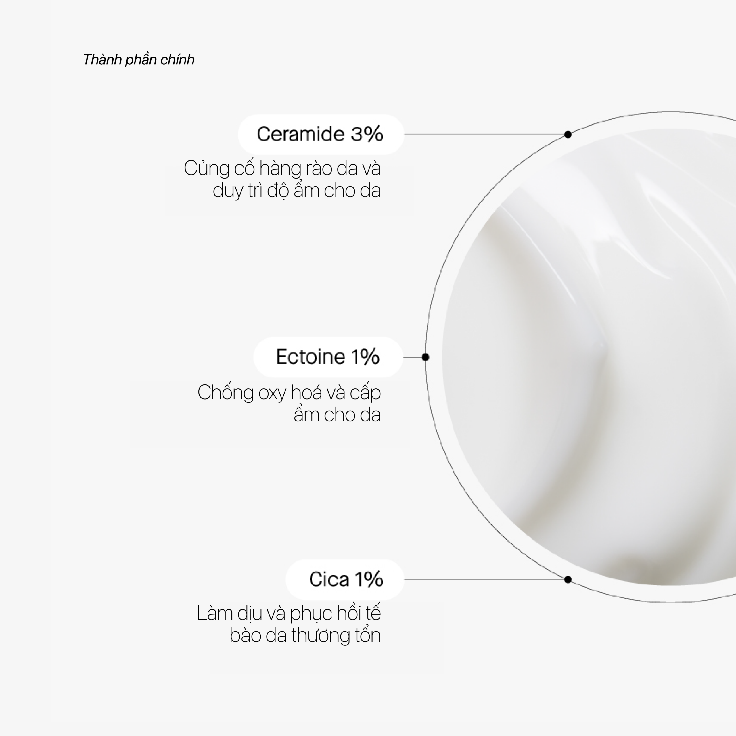 CERAMIDE TREATMENT Phức hợp ceramide phục hồi ngừa lão hóa da - Ảnh 5