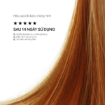 ANTI-DANDRUFF SCALP TREATMENT - Ảnh 5