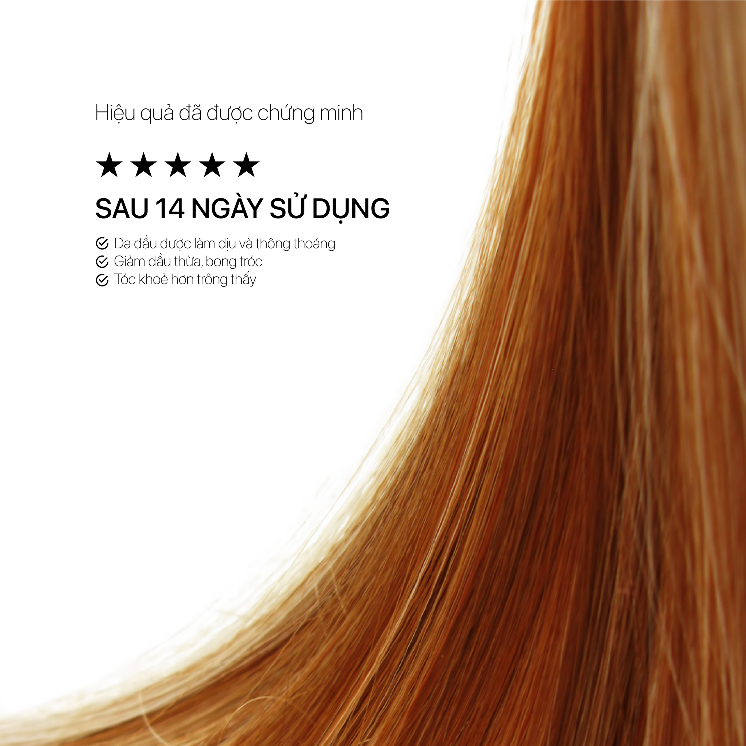 ANTI-DANDRUFF SCALP TREATMENT - Ảnh 5